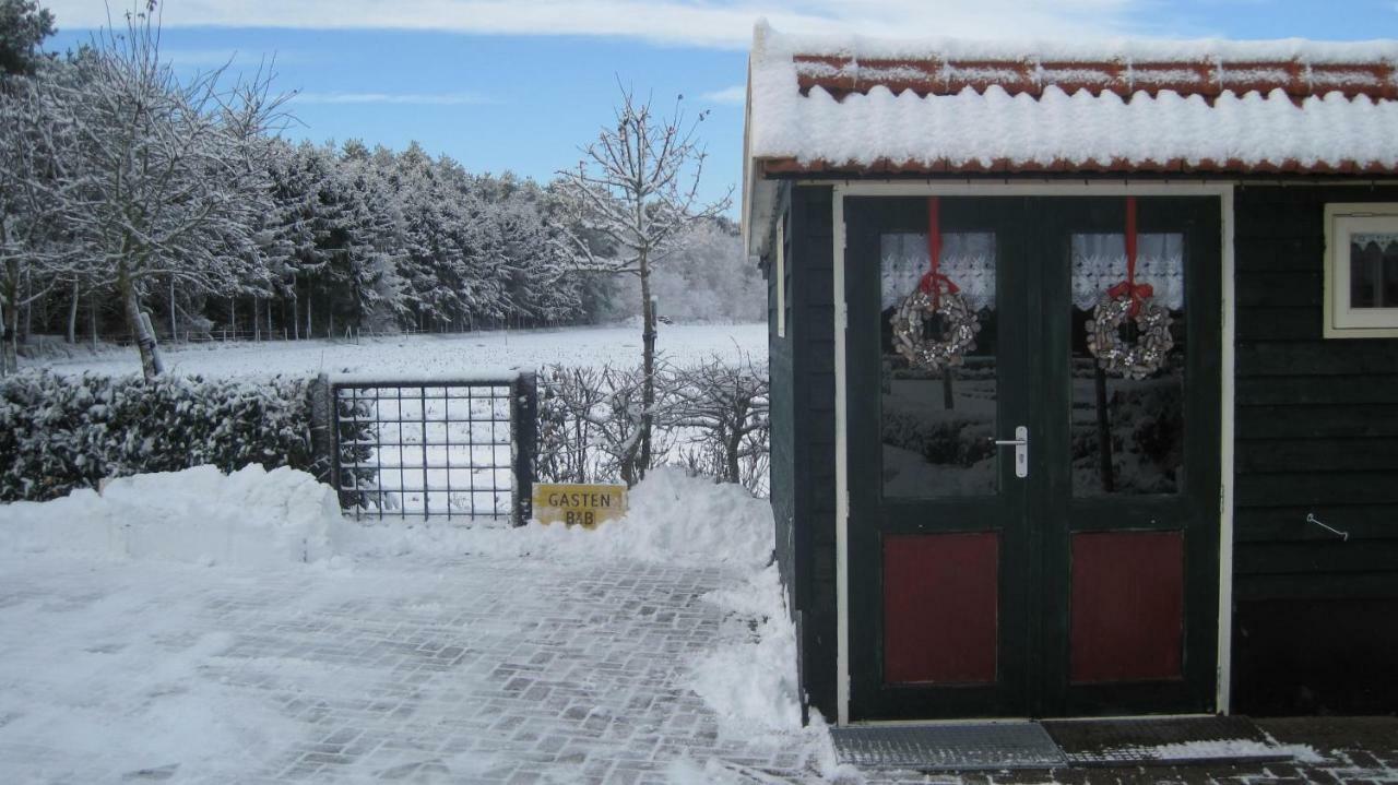 Meerie's Cottage Bergen op Zoom Esterno foto